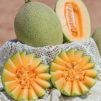 新款哈密瓜爆甜当季新鲜水果网纹瓜玫珑瓜海南哈密瓜厂家批发