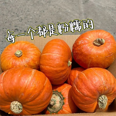 山东南瓜板栗南瓜金丝南瓜红皮金瓜南瓜新鲜贝贝小南瓜味黄圆全年