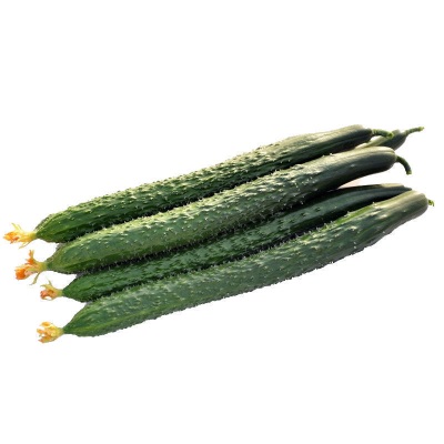 农家现摘新鲜蔬菜黄瓜应季水果黄瓜生吃脆嫩带刺青瓜批发黄瓜