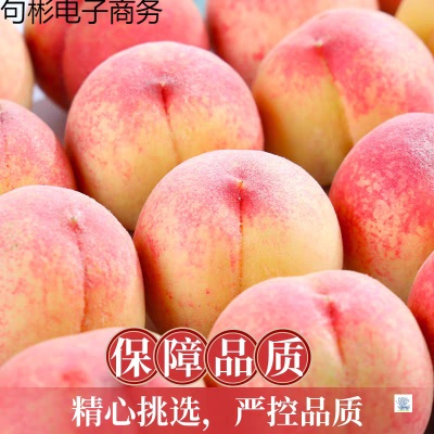 现摘新鲜桃子红美人水蜜桃9斤脆桃毛桃当季水果5斤