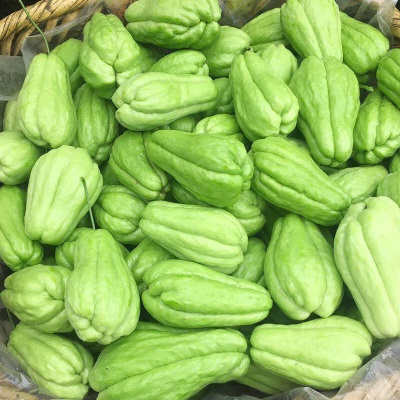 云南佛手瓜新鲜洋瓜丰收瓜福寿瓜洋茄子农家自种当季蔬菜现摘现发
