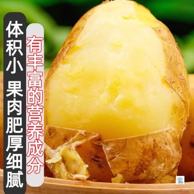 现挖恩施小土豆9斤现挖湖北新鲜黄心土豆当季蔬菜整箱迷你马铃薯