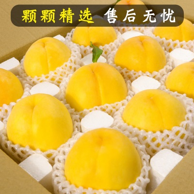黄桃新鲜水果应当季时令脆毛鲜甜黄金蜜桃大桃子5斤整箱锦绣现摘