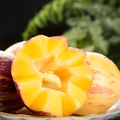 甘肃民勤沙漠人参果新鲜水果当季黄肉长果人生果整箱批发一件代发