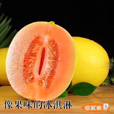正宗黄河蜜瓜新鲜水果当季水果黄金冰糖网纹哈密瓜香甜瓜