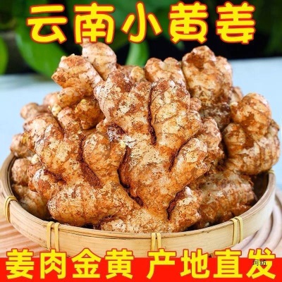生姜批发云南小黄姜老姜新鲜现挖嫩姜月子姜大块黄姜新鲜蔬菜批发