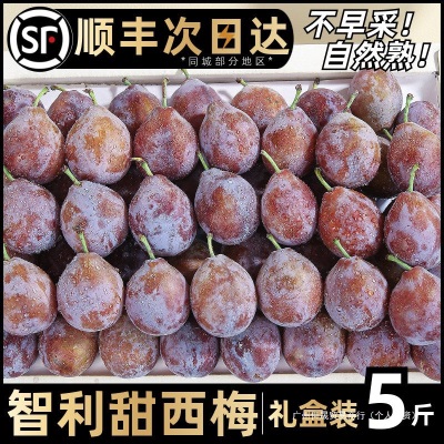 智利西梅新鲜5斤礼盒法兰西脆甜李子进口水果应当季整箱顺丰包邮3