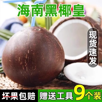 正宗海南去皮黑色黑壳牛奶椰皇椰肉新鲜老椰子椰汁9个装整箱包邮
