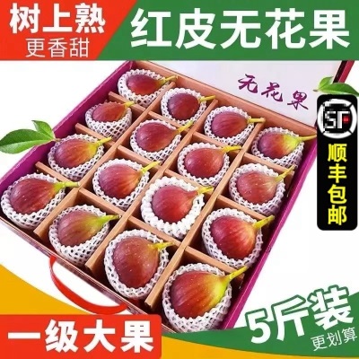 顺丰 新鲜红皮无花果5斤孕妇水果应当季大果青红皮鲜果整箱非威海