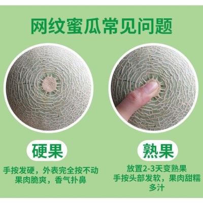 【普快】海南网纹瓜冰淇淋网纹密瓜新鲜摘应当季水果哈密整箱甜瓜