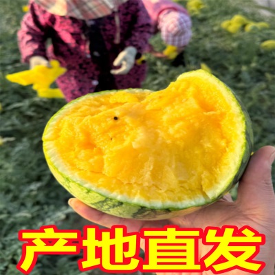 江苏东台特小凤黄心冰淇淋西瓜当季新鲜水果手撕应季超甜黄肉西瓜