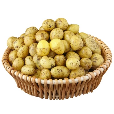 新鲜恩施小土豆现挖湖北新鲜黄心土豆当季蔬菜马铃薯洋芋一件代发