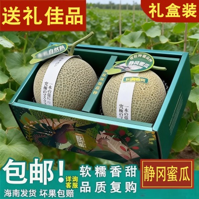 海南玲珑网纹蜜瓜冰淇淋口感哈密瓜静冈蜜瓜香甜水果礼盒包邮直发