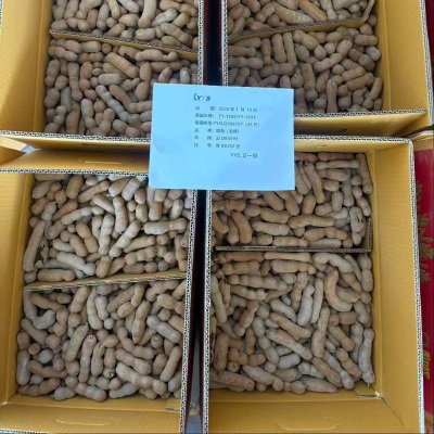 批发20斤新鲜带壳水果甜角甜酸角果铺蜜饯零食罗望子电商直发