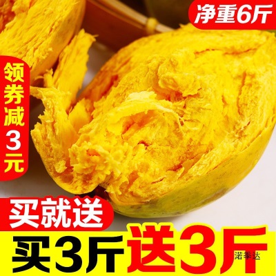 海南鸡蛋果蛋黄果5斤当季热带水果新鲜应季整箱批发产熟果1-3斤