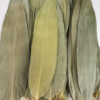 粽叶新鲜粽子叶大号正宗箬粽叶包粽子专用送粽绳干特大号商用批发