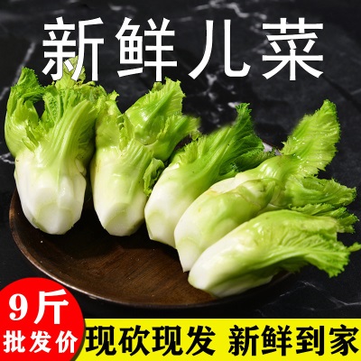 四川农家自种儿时令菜仔绿色蔬菜嫩儿新鲜儿菜娃娃菜母子全年