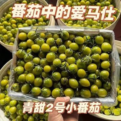 正宗青甜2号小番茄新鲜绿色圣女果现摘现发超甜小西红柿京东代发