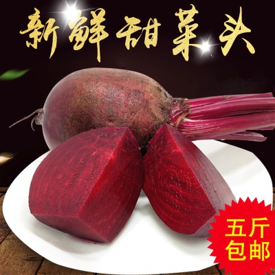 甜菜根新鲜红菜头萝卜紫菜头红根红菜沙拉西餐蔬菜速卖通