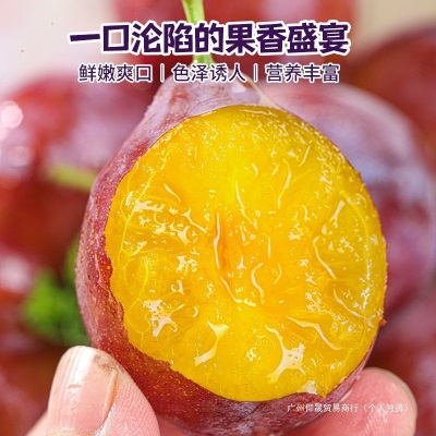 智利西梅新鲜5斤礼盒法兰西脆甜李子进口水果应当季整箱顺丰包邮3