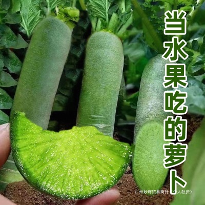 潍坊水果萝卜新鲜甜脆水果型10斤青冰淇淋凤梨生吃正宗青绿胡萝卜