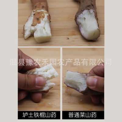新鲜山药河南温县铁棍山药整箱5斤批发垆土怀山药非淮山药蔬菜