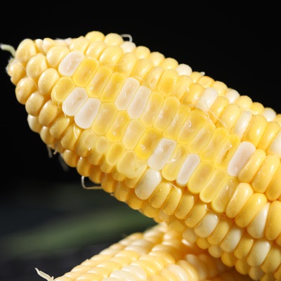 云南金银水果玉米新鲜生吃甜玉米棒子粒粘糯黏苞谷米一件代发