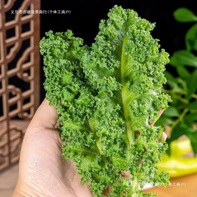 新鲜羽衣甘蓝叶轻食榨汁凉拌西餐沙拉食材新鲜寿光蔬菜其他全年