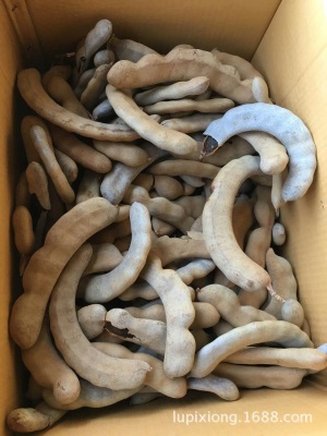 批发20斤新鲜带壳水果甜角甜酸角果铺蜜饯零食罗望子电商直发