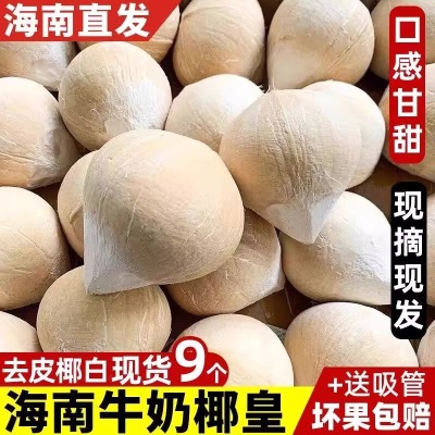 海南牛奶椰皇水果新鲜椰青当季现摘椰白孕妇补羊水小奶椰子蛋整箱