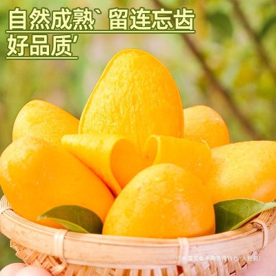 海南小台农芒果10斤新鲜现摘小台芒应当季热带水果特产芒果包邮5