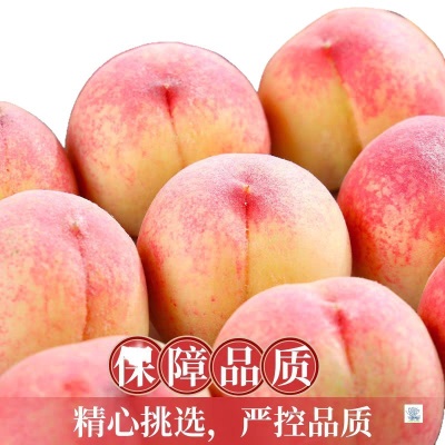 现摘新鲜桃子红美人水蜜桃9斤脆桃毛桃当季水果5斤