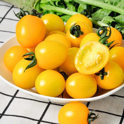 黄色圣女果夏日阳光新鲜番茄自然熟多汁千禧孕妇水果小西红柿包邮