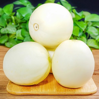 陕西阎良甜瓜新鲜水果当季现摘脆甜蜜瓜白瓜羊角香瓜产地一件代发