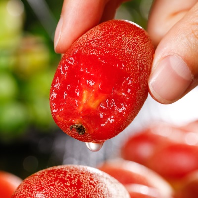 云南新鲜羊奶果大果热带时令孕妇水果稀有牛奶果新鲜摘纯甜口现货