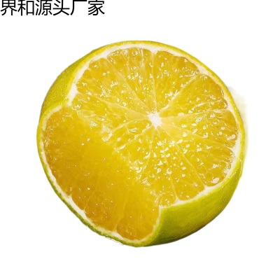 广柑斤新鲜水果贡柑斤柑橘薄皮批发橘子桔子