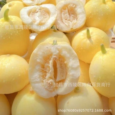 现摘小蜜蜂甜小蜜罐甜瓜香瓜新鲜水果当季爆汁孕妇脆甜小香瓜
