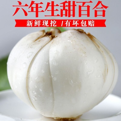 新鲜现挖兰州百合食用甜百合农家生百合1斤/2斤/3斤/4斤单包250g