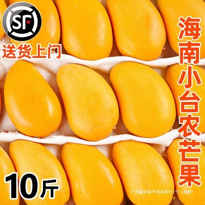 海南小台农芒果10斤新鲜现摘小台芒应当季热带水果特产芒果包邮5