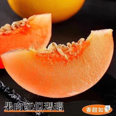 正宗黄河蜜瓜新鲜水果当季水果黄金冰糖网纹哈密瓜香甜瓜