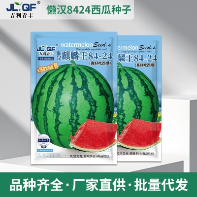 懒汉麒麟王8424西瓜种子籽超甜高产早熟薄皮西瓜王种子瓜果种子