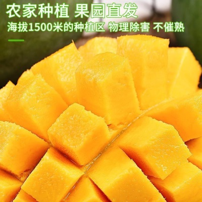 四川攀枝花凯芒果10斤新鲜水果当季现摘整箱大青皮甜心芒果包邮