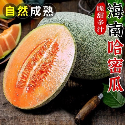 海南哈密瓜新鲜现摘蜜瓜果园直发当季应季新鲜水果3/5/9斤