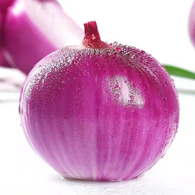农家现挖水果洋葱5斤脆甜紫皮新鲜蔬菜圆葱头整箱包邮优普通洋葱
