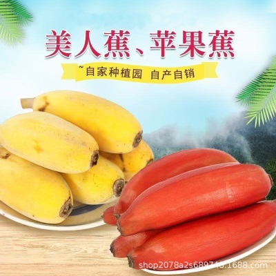 正宗红美人苹果粉香蕉双拼红皮蕉新鲜现砍当季水果红皮孕妇包邮