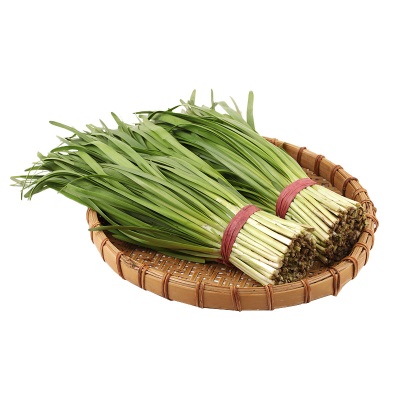 苏北头茬本地新鲜紫红根小韭菜老品种小细叶香韭菜时令蔬菜现割