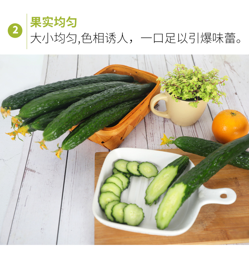 c70692c974352af4.jpg