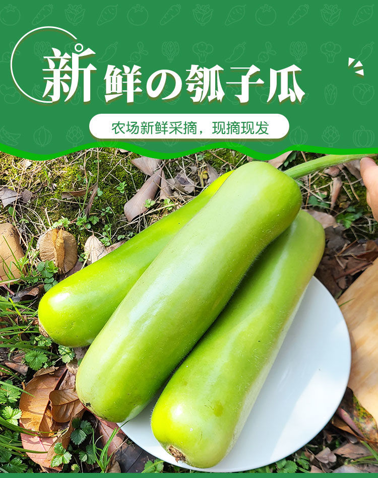 f6a622a3d5524cc2.jpg