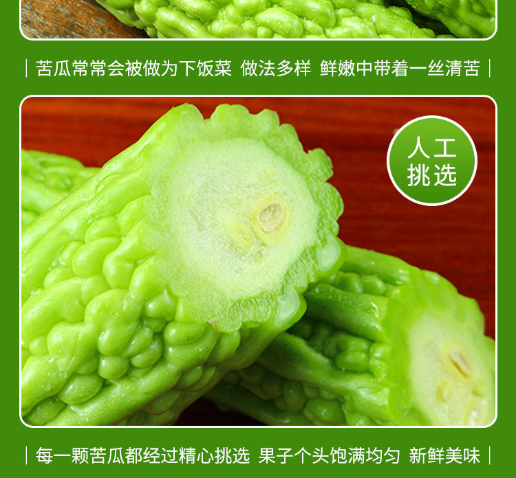 b5fb33c301922f4a.jpg