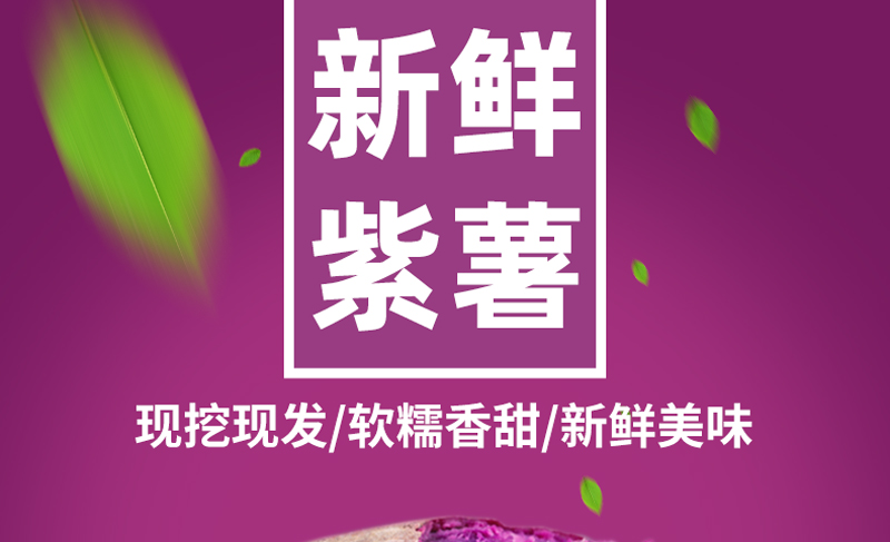 63223c526bbb9c52.jpg